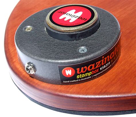 electric stomp box acoustic|wazinator stompbox.